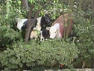 Hei&szlig;e Br&uuml;nette reibt sich im Freien