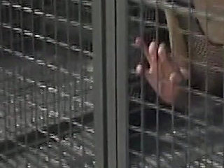 Caged Lesbian Sluts Dildo Drilling Dripping Pussies
