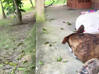 Horny Country Girl Gets Fucked Before the Owners Arrive.