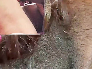 POV Sex, Front and Back View of Amateur Romantic Couple Sex