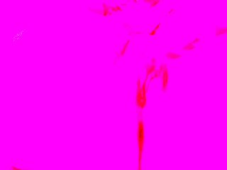 hot amateur blonde close up masturbation HD
