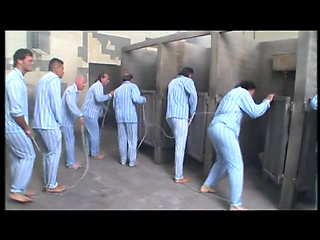 Two horny babes get roughly fucked in all holes