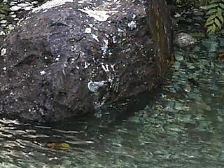 Wvm - Part 220 - Found 'em by Misskitty2k