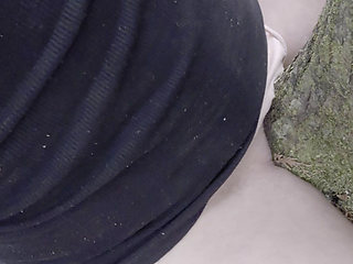 Humping the tree on my hike