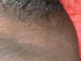 Neighbor's Sister-in-law Was Forgotten at Night and by Sanders.