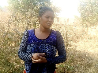 Forest in Bush