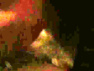 Indonesian Women Like to Suck a White Cock