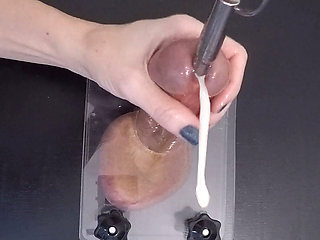 Clearing the Urethra Results in Copious Sperm Flow