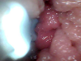 Extreme Proximity Turns Watcher Into Active, Hungry Participant