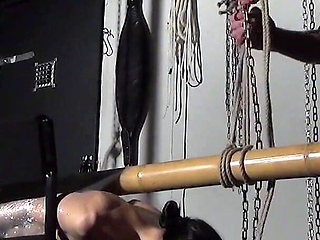 Elise Graves 1