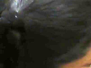 Hot Kisses Take at the Penis