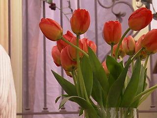 Huge cock for a perfect MILF...