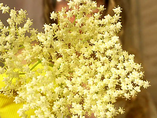 I'm Allergic to Flowers, so I Sneeze a Lot, but It Just Won't Go Away. I Try a Few Tricks to Make It Go Away, Like Holding