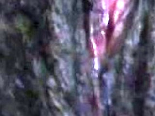 CIMA black and ebony