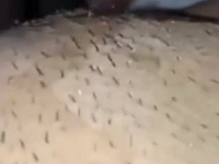 Indian Hairy Tight Pussy Fucked so Hard Neighbor