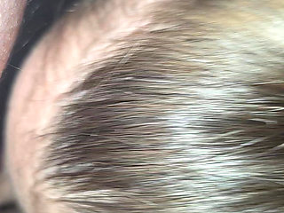 Blowjob Love to Take Cock in Mouth:)