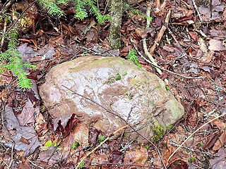 Pussy Pissing Water on the Rock