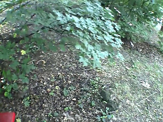 Big dick sucking in the park