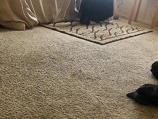 Big Dicking the Pussy