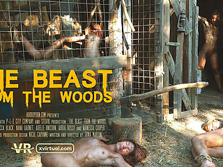 X Virtual 19 the Monster From the Woods 180°