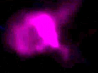 Passionate Luminous Figure_21082704p0