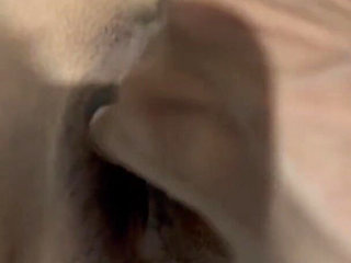 GF Fucked in Kitchen