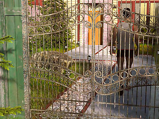 Nursing back to pleasure: wife got caught cheating her husband with another woman ep 79, 80