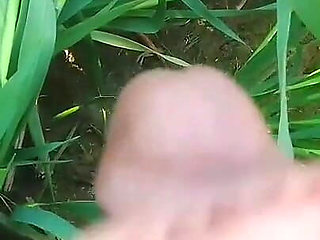 Social Experiment XXX: Random Guy Licks My Pussy Outdoors