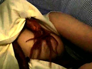 Fatty girl who loves big cocks warms up for a hardcore sex