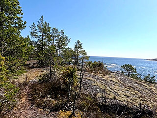 long Nudewalk on dirtroads and walking trails