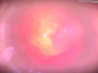 B035 Shrinking Man Gets Swallowed by Asian Beauty's Pussy