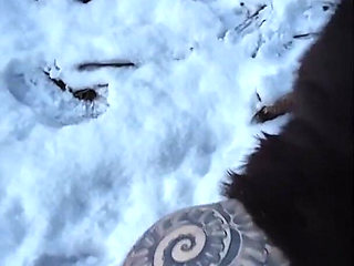 I Warm His in the Snow