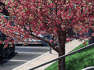 The Prison Guard #11