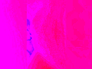 Life's Beautiful Moments