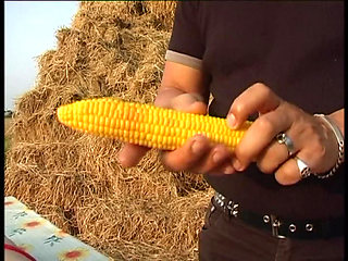 Wonderful Young Girl with Big Nipples Tied up and Cumshot on Pussy by Big Cock