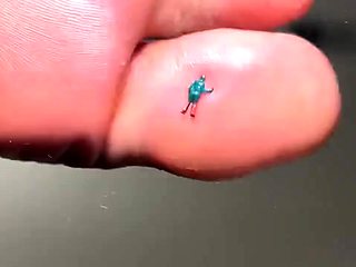 Pinkfoxx - Giantess Smashes With Flip Flops & Feet