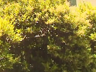 Daejha Milan Big Tits MILF Hardcore Fuck and Cumshot - Crazy Fantasy Gone Wild