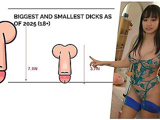 Does Dick Size Really Matter? Prawnhub University Lecture 2