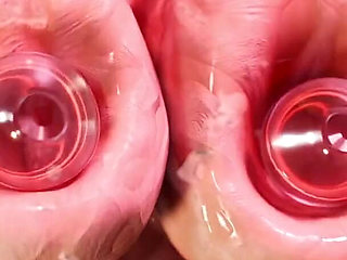 Rivals Project: the Following