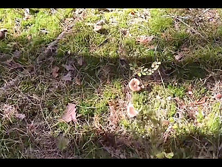 Walk Ended with Hard Fucking Ending on the Ass