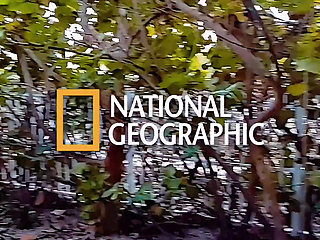 Goon Room Vol.1 Fucking Facetime Throatpies