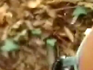 Big Tits in the Woods