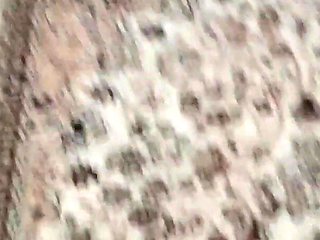 My desi Indian pregnant married dogg style and blowjob homemade sex tape like