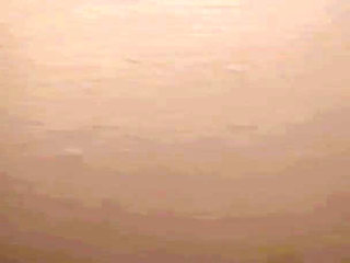 Tell Me About Your Fantasy!