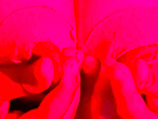 Want to suck my nipples ? Come and cum with me