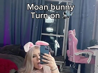 Follow the White Rabbit