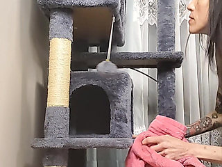 Stuck Shiloh : Cathouse Edition