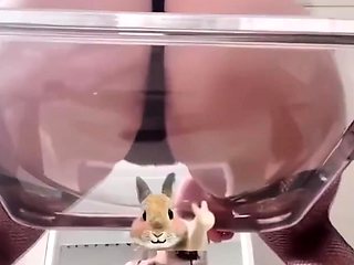 amateur vip ass masturbating on live webcam