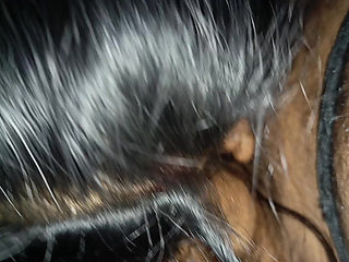 teen fucked handjob and blowjob couple enjoying sex