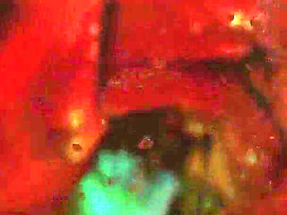 B040 Asian Beauty a Man Was Shrunk by Two Beauties and Used as a Dildo and Piston